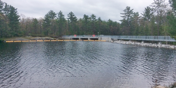 mississauga dam