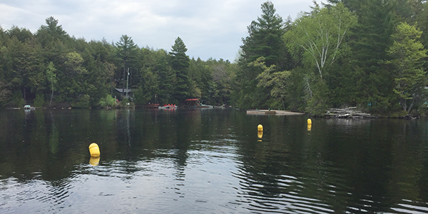 buoys in water