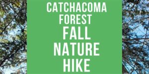Catchacoma Forest Fall Nature Hike graphic