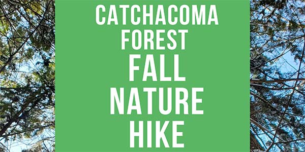 Catchacoma Forest Fall Nature Hike graphic