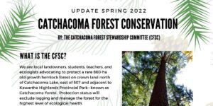 newsletter banner
