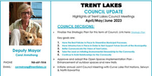 TL newsletter header
