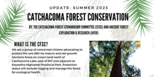 newsletter header