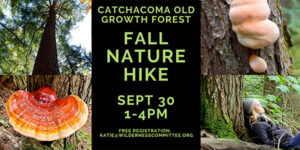 Fall Nature Hike pix