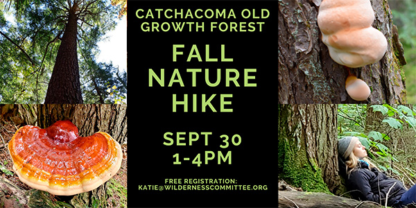 Fall Nature Hike pix