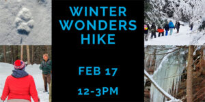 Winter Wonders
